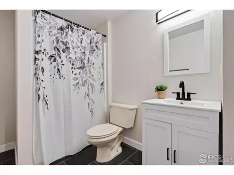 1669 Gratton Ct, Windsor, CO 80550 photo 21