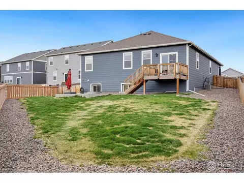 1669 Gratton Ct, Windsor, CO 80550 photo 25