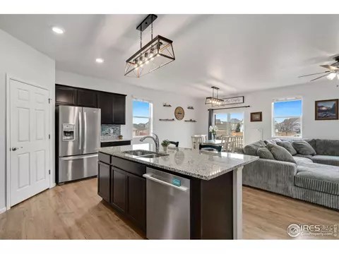 1669 Gratton Ct, Windsor, CO 80550 photo 10