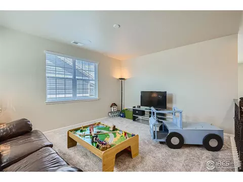 7061 E 121st Pl, Thornton, CO 80602 photo 22