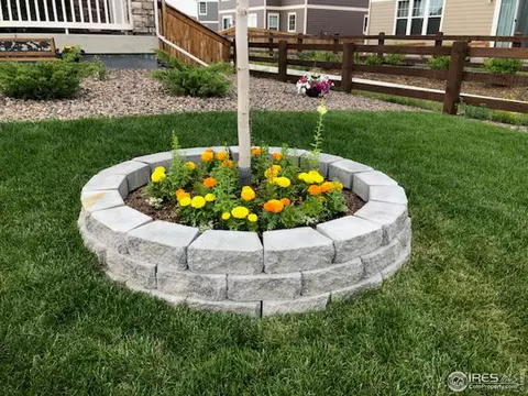 7061 E 121st Pl, Thornton, CO 80602 photo 32