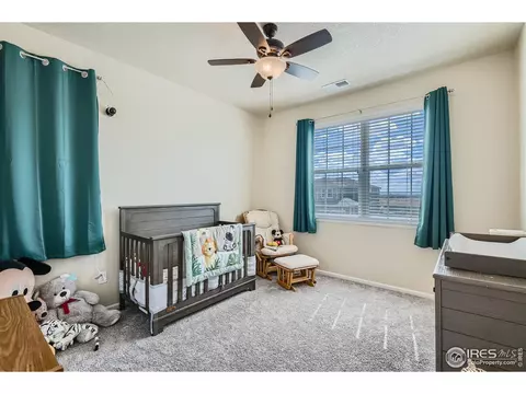 7061 E 121st Pl, Thornton, CO 80602 photo 21