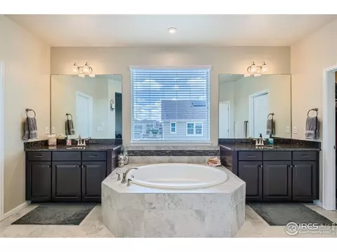 7061 E 121st Pl, Thornton, CO 80602 photo 20