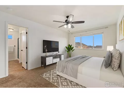 741 Elk Mountain Dr, Windsor, CO 80550 photo 10