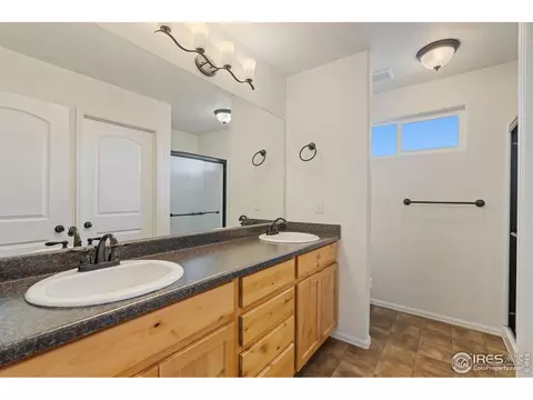 741 Elk Mountain Dr, Windsor, CO 80550 photo 11