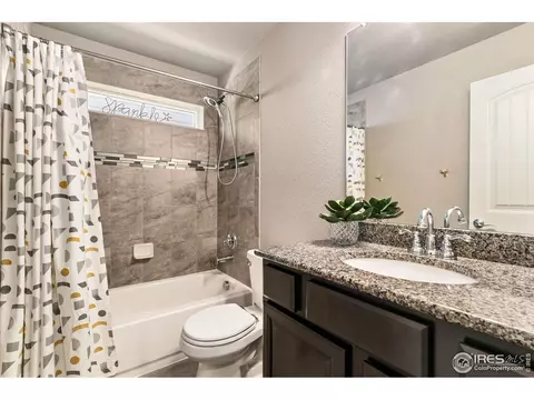 4622 Binfield Dr, Windsor, CO 80550 photo 22