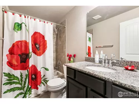 4622 Binfield Dr, Windsor, CO 80550 photo 26