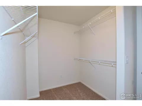 2302 Graceful St, Windsor, CO 80550 photo 29