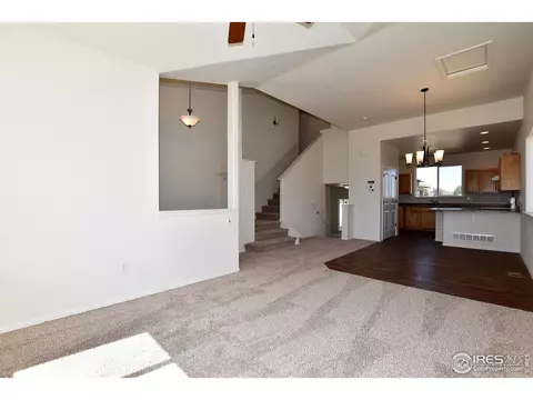 2302 Graceful St, Windsor, CO 80550 photo 11