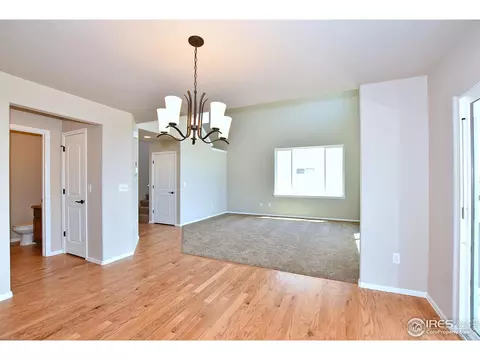 2345 Graceful St, Windsor, CO 80550 photo 22