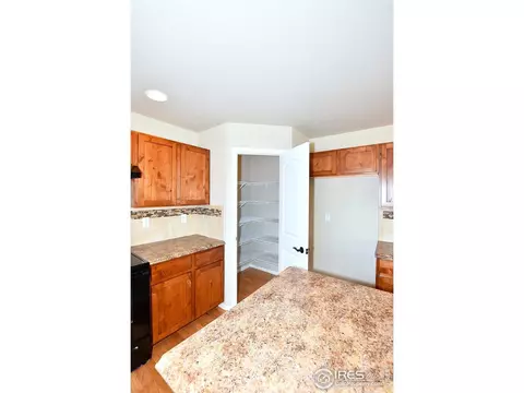 2345 Graceful St, Windsor, CO 80550 photo 20