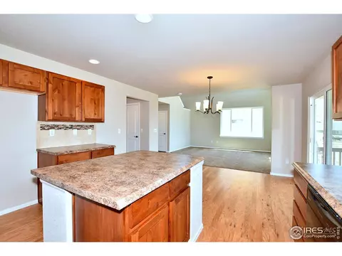 2345 Graceful St, Windsor, CO 80550 photo 21