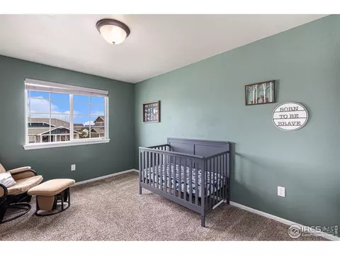 1521 Heirloom Dr, Windsor, CO 80550 photo 23