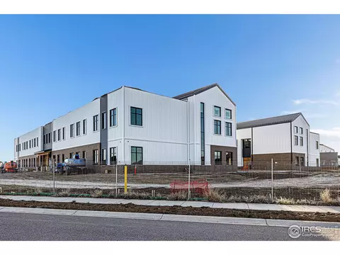1521 Heirloom Dr, Windsor, CO 80550 photo 34