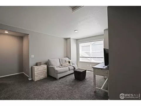 154 Hidden Lake Dr, Severance, CO 80550 photo 17