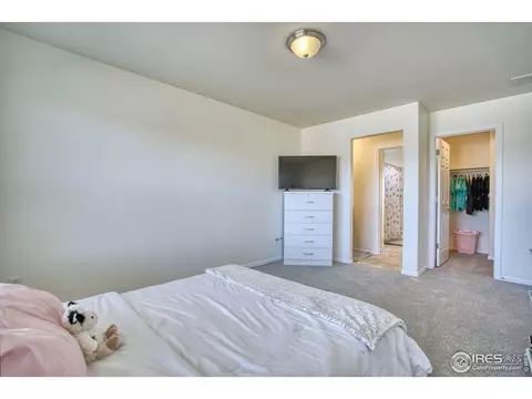 2012 Seapines Ct, Windsor, CO 80550 photo 29