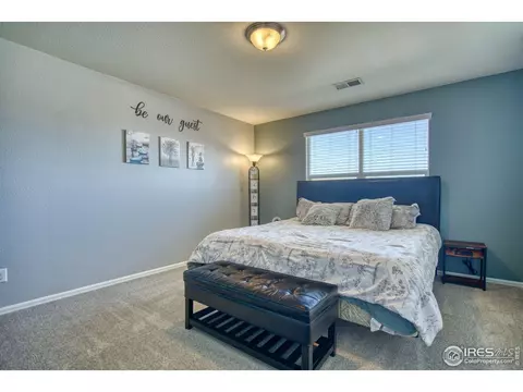 2012 Seapines Ct, Windsor, CO 80550 photo 25