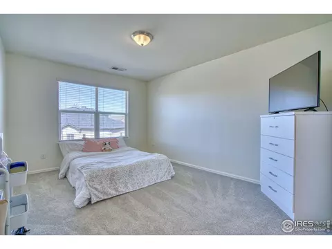 2012 Seapines Ct, Windsor, CO 80550 photo 28