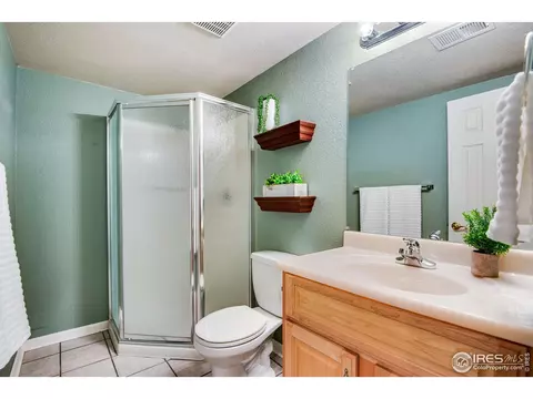 11601 Eudora St, Thornton, CO 80233 photo 39