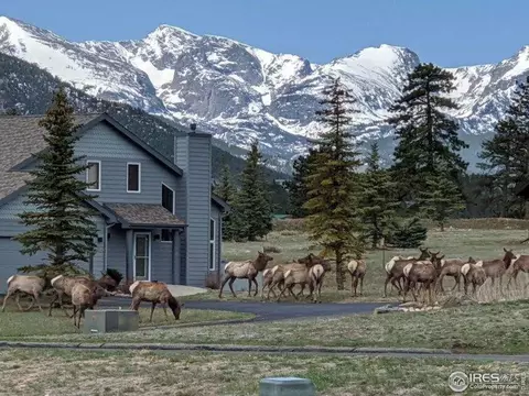 1386 Raven Cir, Estes Park, CO 80517