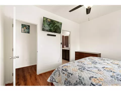 1079 Long Meadows St, Windsor, CO 80550 photo 19