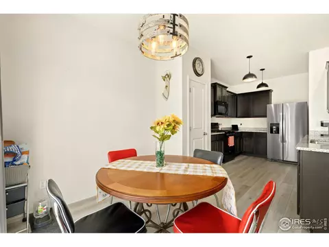 1079 Long Meadows St, Windsor, CO 80550 photo 14