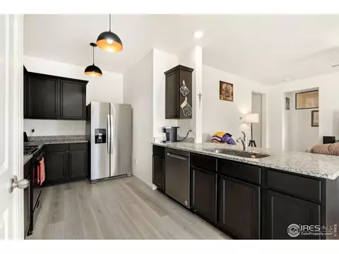 1079 Long Meadows St, Windsor, CO 80550 photo 10