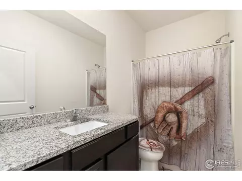 1079 Long Meadows St, Windsor, CO 80550 photo 29