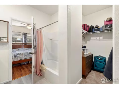 1079 Long Meadows St, Windsor, CO 80550 photo 23