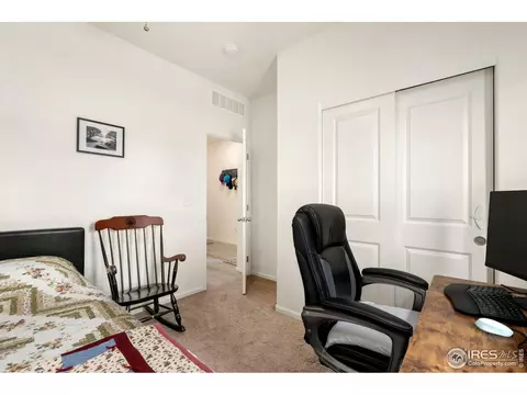 1079 Long Meadows St, Windsor, CO 80550 photo 31