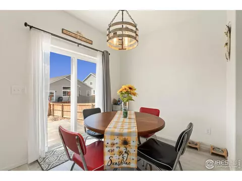 1079 Long Meadows St, Windsor, CO 80550 photo 15