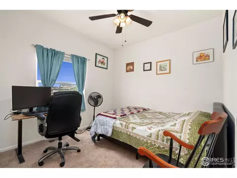 1079 Long Meadows St, Windsor, CO 80550 photo 30