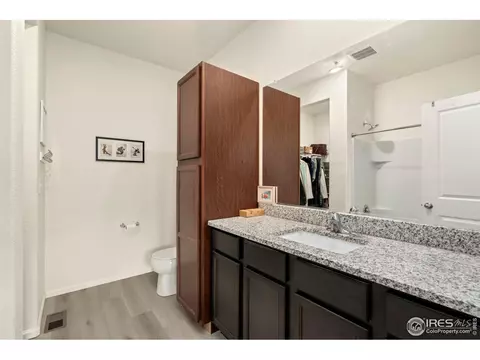 1079 Long Meadows St, Windsor, CO 80550 photo 22