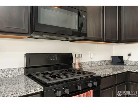 1079 Long Meadows St, Windsor, CO 80550 photo 12