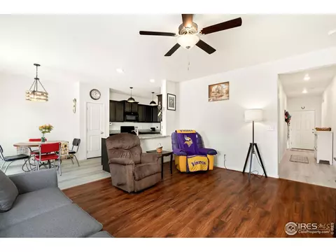 1079 Long Meadows St, Windsor, CO 80550 photo 8