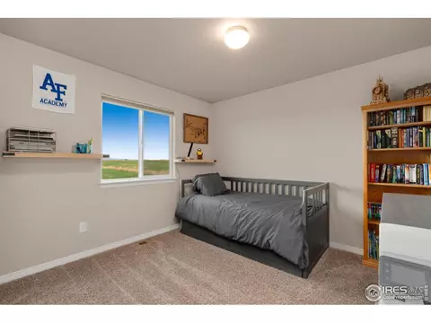 1291 Baker Pass St, Windsor, CO 80550 photo 31