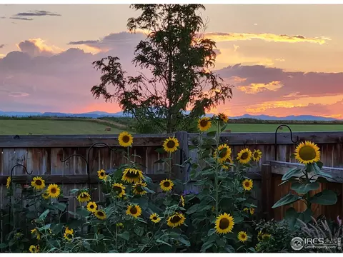 1291 Baker Pass St, Windsor, CO 80550 photo 39