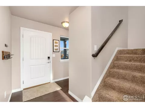 1291 Baker Pass St, Windsor, CO 80550 photo 6
