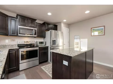 1291 Baker Pass St, Windsor, CO 80550 photo 15
