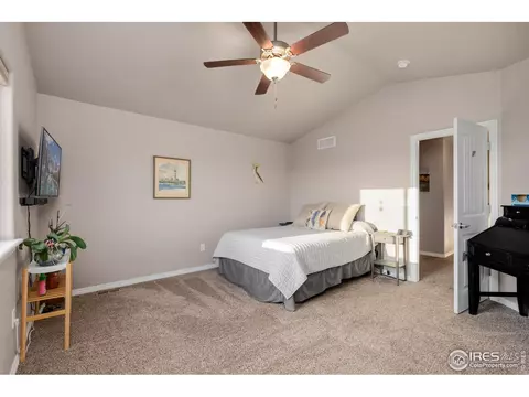 1291 Baker Pass St, Windsor, CO 80550 photo 21