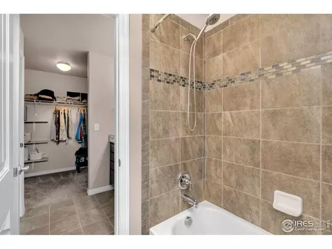 1291 Baker Pass St, Windsor, CO 80550 photo 24