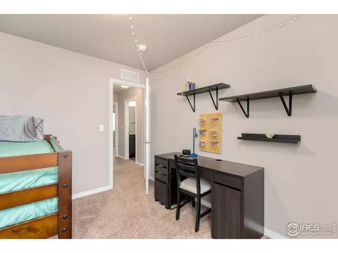 1291 Baker Pass St, Windsor, CO 80550 photo 26