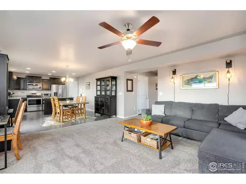1291 Baker Pass St, Windsor, CO 80550 photo 10