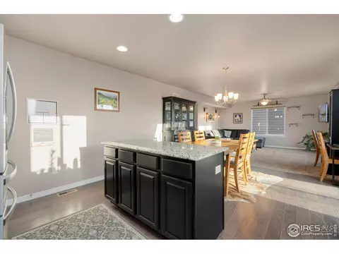 1291 Baker Pass St, Windsor, CO 80550 photo 16