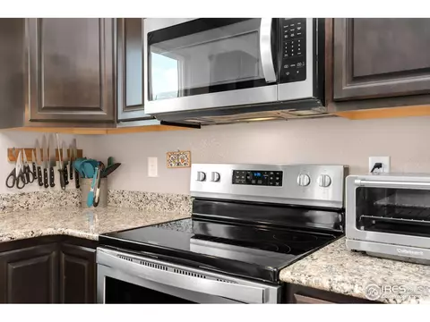 1291 Baker Pass St, Windsor, CO 80550 photo 19