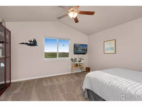 1291 Baker Pass St, Windsor, CO 80550 photo 20