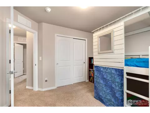 1291 Baker Pass St, Windsor, CO 80550 photo 28