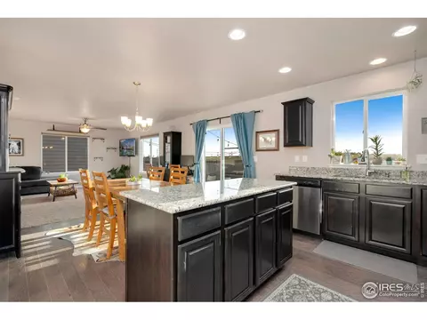 1291 Baker Pass St, Windsor, CO 80550 photo 17