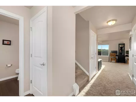 1291 Baker Pass St, Windsor, CO 80550 photo 5