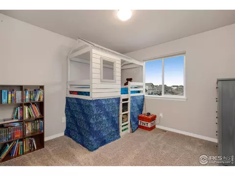1291 Baker Pass St, Windsor, CO 80550 photo 27